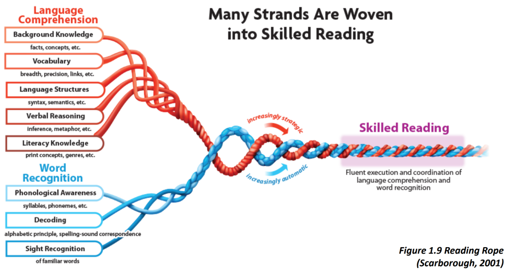 Many strands are woven into skilled reading